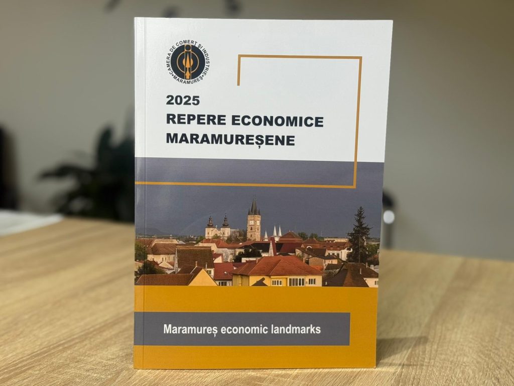 Repere Economice Maramureșene – Analiză completă a economiei din Maramureș