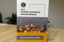 Repere Economice Maramureșene – Analiză completă a economiei din Maramureș